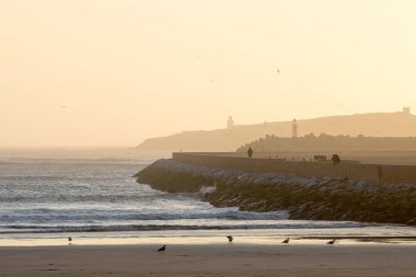 Sunset beach Essaouira adlı planda ile Martı,