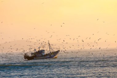 İçinde belgili tanımlık geçmiş Essaouira, Fas, gün batımı ile balıkçı teknesi
