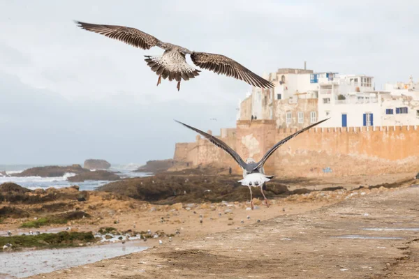 Klasszikus kilátás-ból Essaouira medina a falról, a vár, — Stock Fotó