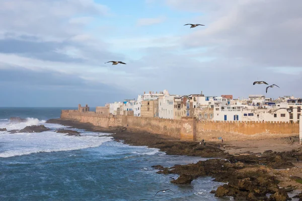 Sirályok az égen, Essaouira, város és kikötő a az Atlanti-óceán — Stock Fotó