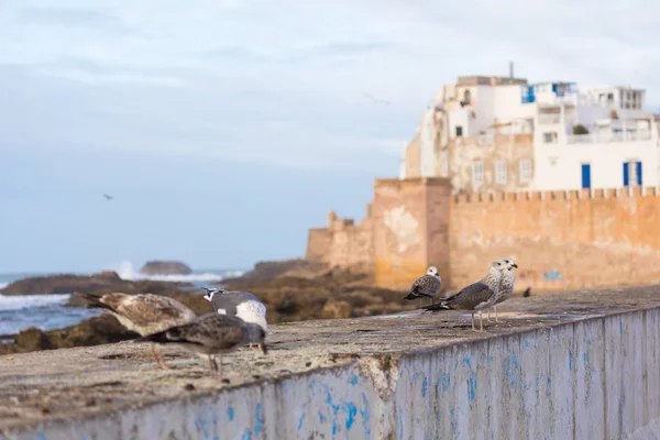 Klasszikus kilátás-ból Essaouira medina a falról, a vár, — Stock Fotó