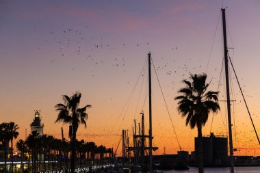 Marina Port Malaga City güzel günbatımı gökyüzü. Andalusi