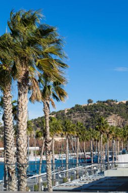 Malaga Marina yerinde panoramik manzaraya. Malaga seco olduğunu