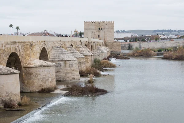 Ponte da Porta Puente Romano e Catedral de Córdoba . — Fotografia de Stock