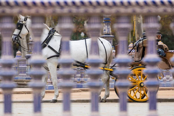 Plaza de Espana blue balustrade detail in Sevilla, Andalusia, Sp — Stock Photo, Image