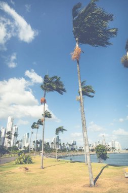 Panoramik Panama şehir manzarası - Panama City, Panama