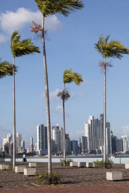 Panoramik Panama şehir manzarası - Panama City, Panama