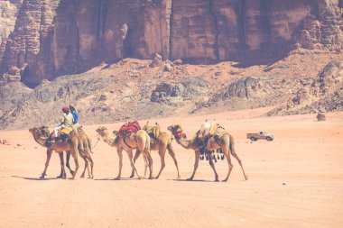 Deve kervan Wadi Rum, Ürdün, seyahat