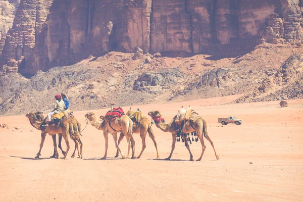 Velbloudí karavana cestující v Wadi Rum, Jordánsko — Stock fotografie