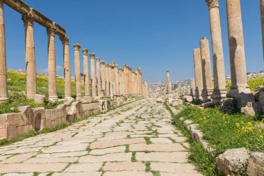 Roma şehir Gerasa: Jerash (Pompeii o yakınındaki Sütunlu Cadde