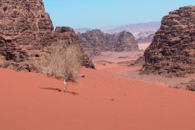 Wadi Rum çölün, Jordan panoramik manzaralı