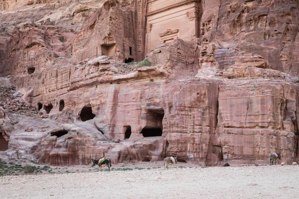 Templo antigo em Petra, Jordânia — Fotografia de Stock