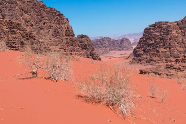 와 디 럼 사막, 요르단의 — 스톡 사진