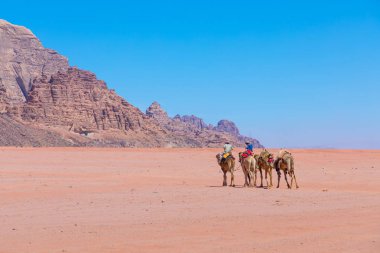 Wadi Rum, Develer çöl manzara, Jordan