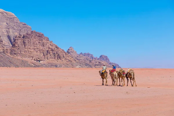 骆驼在干河朗姆酒沙漠景观, 约旦 — 图库照片