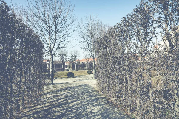 Arquitetura tradicional na cidade velha em Viena, Áustria . — Fotografia de Stock