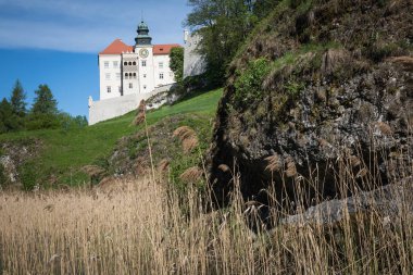 Pieskowa Skala, Polonya - 01 Mayıs 2018: Castle Pieskowa Skala yakınındaki Krakow, Polonya.