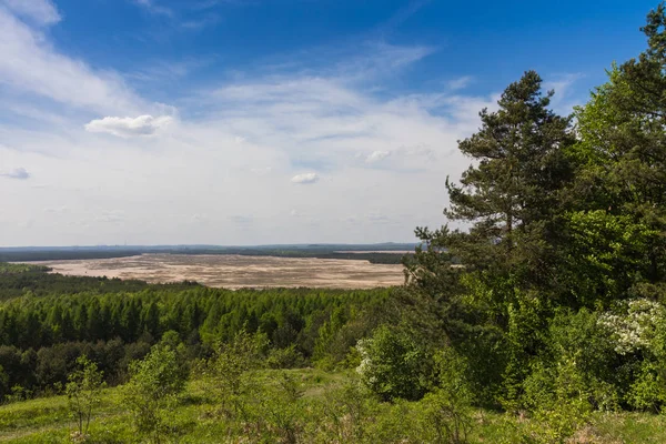 Uitzicht Woestijn Van Bledowska Van Czubatka Heuvel Klucze Polen — Stockfoto
