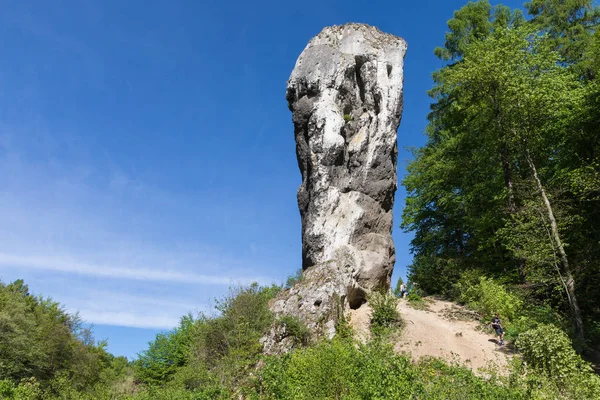 Limestone Monadnock Rock Called Maczuga Herkuklesa Hercules Cudgel Bludgeon Jurassic — Stock Photo, Image