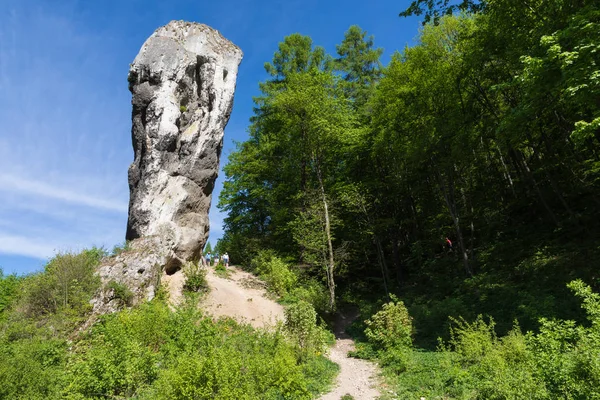 Limestone Monadnock Rock Called Maczuga Herkuklesa Hercules Cudgel Bludgeon Jurassic — Stock Photo, Image