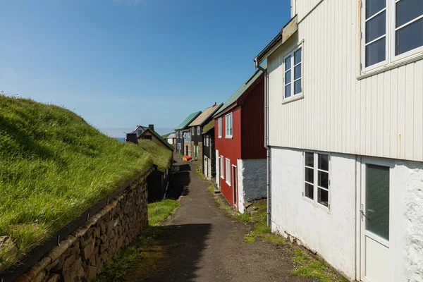 Чудове село Микинів з барвистими будинками з травою. — стокове фото