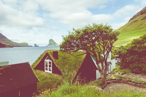 Wioska. Typowe domy trawy-dach i zielone góry. Vag — Zdjęcie stockowe