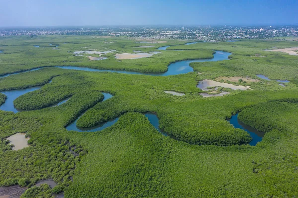 Vista aérea da floresta de manguezais na Gâmbia. Foto feita por drone fr — Fotografia de Stock