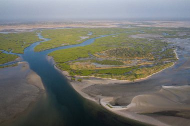 Saloum Delta Ulusal Par 'daki mangrov ormanının havadan görünüşü