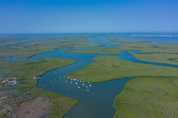 Vista aérea da floresta de manguezais na Gâmbia. Foto feita por drone fr — Fotografia de Stock