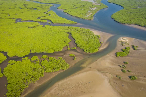 Vista aérea da floresta de manguezais no Saloum Delta National Par — Fotografia de Stock