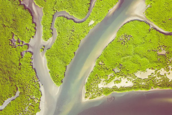 Flygfoto över mangroveskogen i Saloum Delta National Par — Stockfoto
