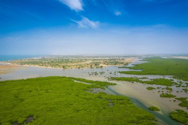 Saloum Delta Ulusal Par 'daki mangrov ormanının havadan görünüşü