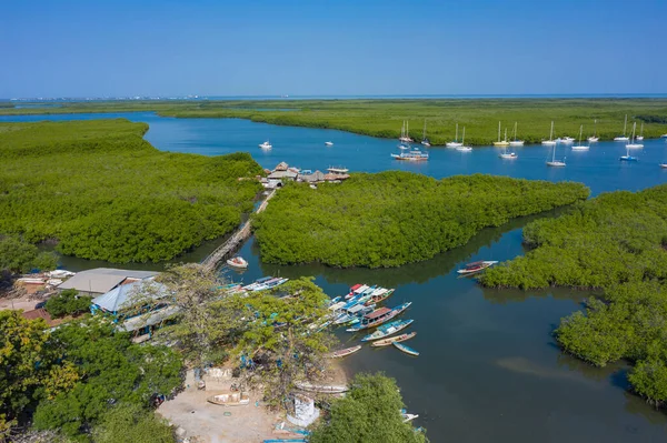 Vista aérea da floresta de manguezais na Gâmbia. Foto feita por drone fr — Fotografia de Stock