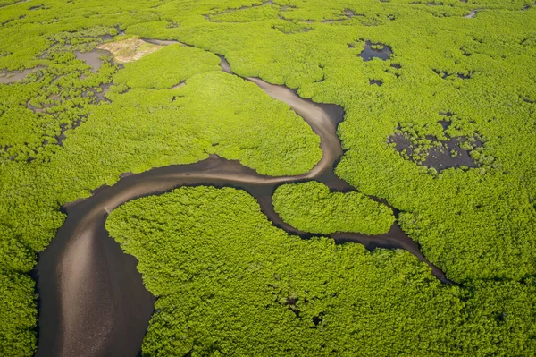Vue aérienne de la mangrove dans le delta du Saloum National Par — Photo