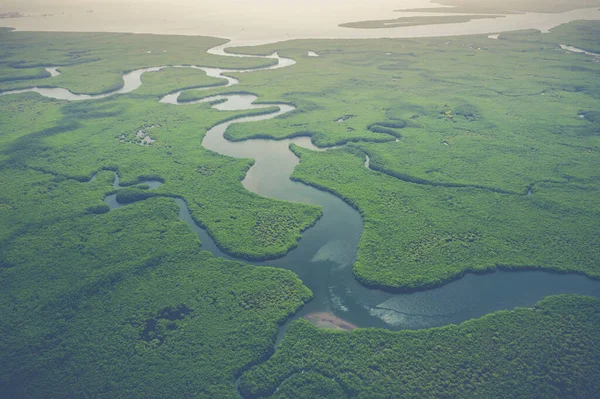 Luftaufnahme des Mangrovenwaldes in Gambia. Foto von Drohne — Stockfoto