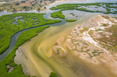 Saloum Delta Ulusal Par 'daki mangrov ormanının havadan görünüşü