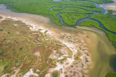 Saloum Delta Ulusal Par 'daki mangrov ormanının havadan görünüşü