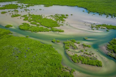 Senegal Mangrovları. Saloum 'daki mangrov ormanının havadan görünüşü.