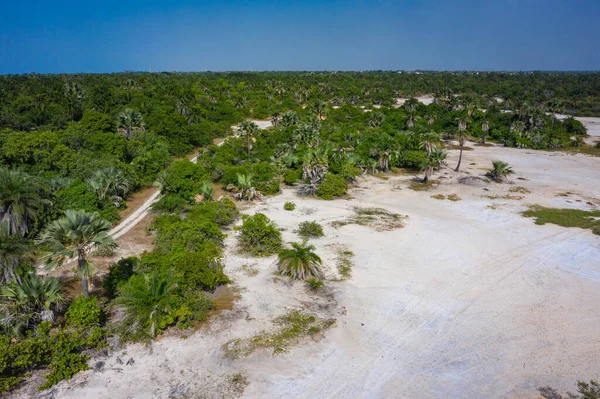 Vista aérea de la reserva nacional en el sur de Gambia, África Occidental . —  Fotos de Stock