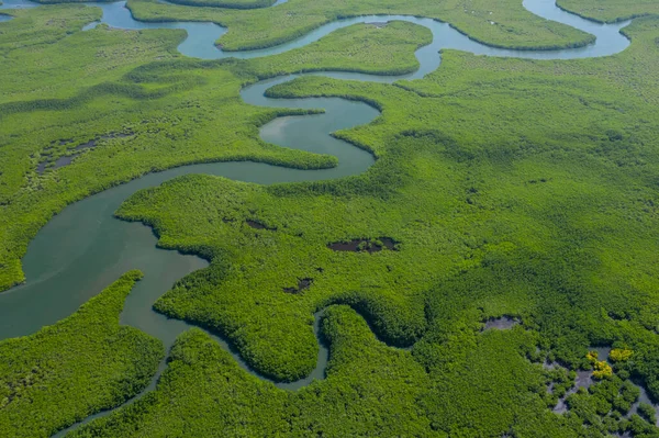 冈比亚红树林的空中景观。 照片由无人侦察机fr拍摄 — 图库照片