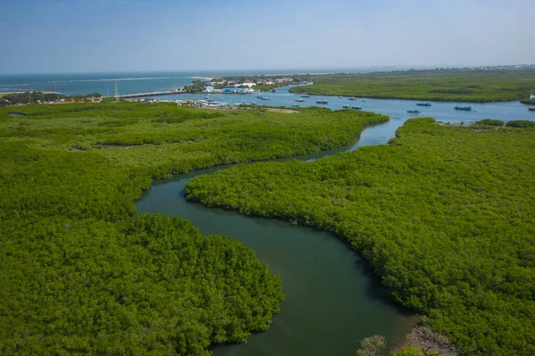 Gâmbia Manguezais. Vista aérea da floresta de manguezais na Gâmbia. Fócio — Fotografia de Stock