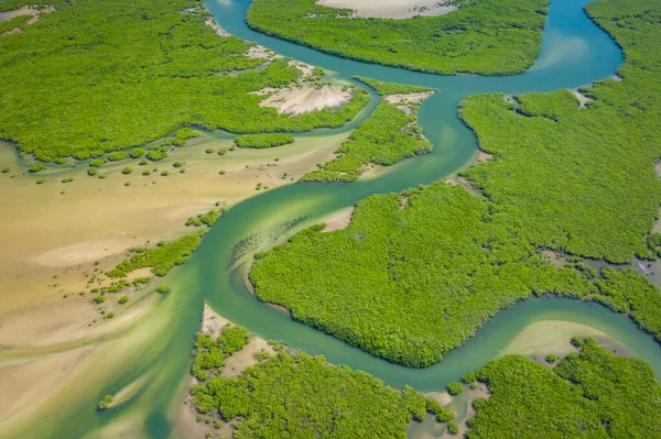 Vue aérienne de la mangrove dans le delta du Saloum National Par — Photo