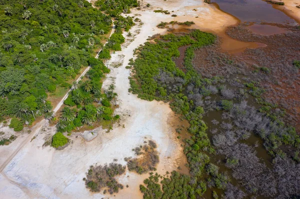 Vista aérea de la reserva nacional en el sur de Gambia, África Occidental . — Foto de Stock