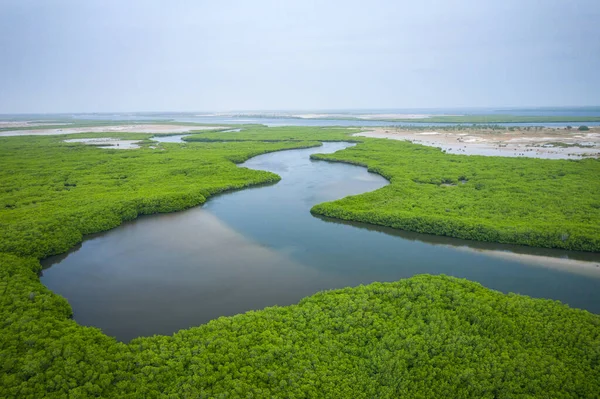 Senegal Mangrovları. Saloum 'daki mangrov ormanının havadan görünüşü. — Stok fotoğraf