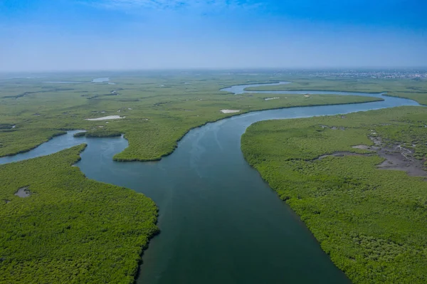 Letecký pohled na mangrovový les v Gambii. Fotografie od drone fr — Stock fotografie