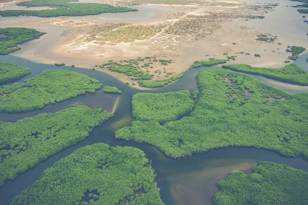 Vista aérea del bosque de manglares en el Delta del Saloum National Par — Foto de Stock