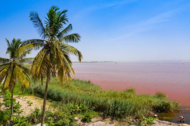 Pembe Retba Gölü veya Senegal 'deki Lac Rose' un havadan görünüşü. Fotoğraf.