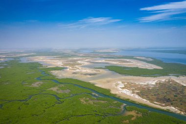Saloum Delta Ulusal Par 'daki mangrov ormanının havadan görünüşü