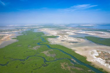 Senegal Mangroves. Aerial view of mangrove forest in the  Saloum clipart