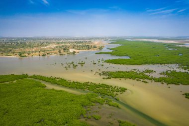 Saloum Delta Ulusal Par 'daki mangrov ormanının havadan görünüşü